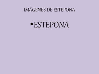 IMÁGENES DE ESTEPONA
•ESTEPONA
 