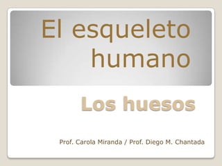 El esqueleto
    humano
       Los huesos
 Prof. Carola Miranda / Prof. Diego M. Chantada
 