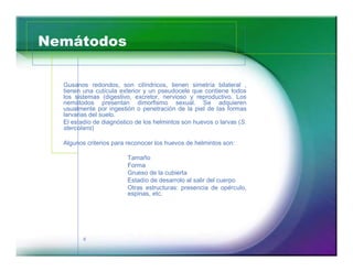 Nemátodos

  Gusanos redondos, son cilíndricos, tienen simetría bilateral ,
  tienen una cutícula exterior y un pseudocele que contiene todos
  los sistemas (digestivo, excretor, nervioso y reproductivo. Los
  nemátodos presentan dimorfismo sexual. Se adquieren
  usualmente por ingestión o penetración de la piel de las formas
  larvarias del suelo.
  El estadío de diagnóstico de los helmintos son huevos o larvas (S.
  stercolaris)

  Algunos criterios para reconocer los huevos de helmintos son:

                         Tamaño
                         Forma
                         Grueso de la cubierta
                         Estadío de desarrolo al salir del cuerpo
                         Otras estructuras: presencia de opérculo,
                         espinas, etc.




         6
 