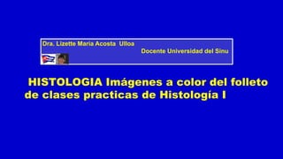 HISTOLOGIA Imágenes a color del folleto
de clases practicas de Histología I
Dra. Lizette María Acosta Ulloa
Docente Universidad del Sinu
 