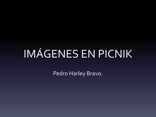 IMÁGENES EN PICNIK
    Pedro Harley Bravo.
 