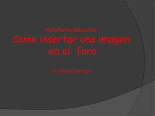 Plataforma Educativa

Como insertar una imagen
       en el foro
        Por Claudia Casariego
 