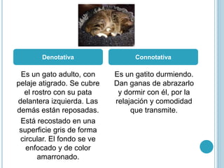 Es un gato adulto, con
pelaje atigrado. Se cubre
el rostro con su pata
delantera izquierda. Las
demás están reposadas.
Está recostado en una
superficie gris de forma
circular. El fondo se ve
enfocado y de color
amarronado.
Es un gatito durmiendo.
Dan ganas de abrazarlo
y dormir con él, por la
relajación y comodidad
que transmite.
Denotativa Connotativa
 