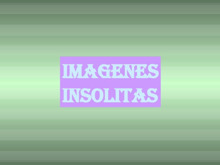 IMAGENES INSOLITAS 