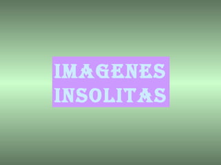 IMAGENES INSOLITAS 