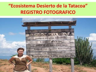 “Ecosistema Desierto de la Tatacoa”
     REGISTRO FOTOGRAFICO
 