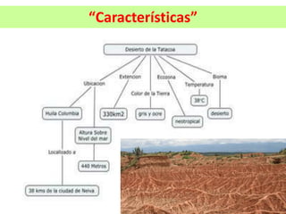 “Características”
 