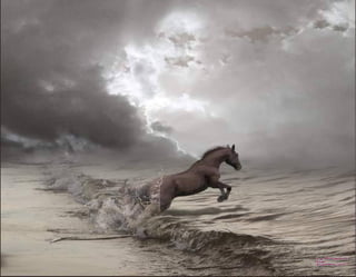 Imagenes paradisfrutar