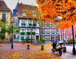 Imagenes paradisfrutar