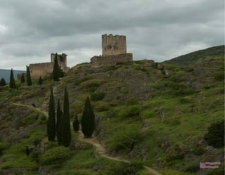 Imagenes paradisfrutar