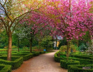 Imagenes paradisfrutar