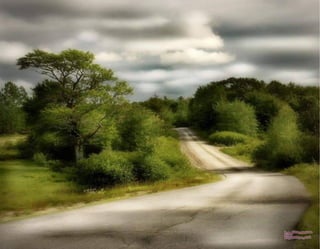 Imagenes paradisfrutar