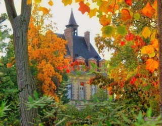 Imagenes paradisfrutar