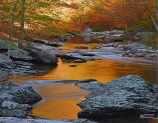 Imagenes paradisfrutar