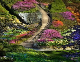 Imagenes paradisfrutar