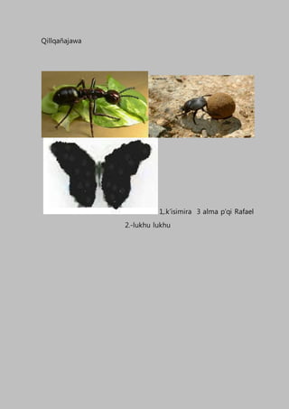 Qillqañajawa
1,.k’isimira 3 alma p’qi Rafael
2.-lukhu lukhu
 