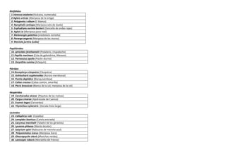 Ninfálidos
1.Vanessa atalanta (Vulcana, numerada)
2.Aglais urticae (Mariposa de la ortiga)
3. Polygonia c-album (C-blanca)
4. Nymphalis antiopa (Mariposa velo de duelo)
5. Euphydryas aurinia beckeri (Doncella de ondas rojas)
6. Aglais io (Mariposa pavo real)
7. Melanargia galathea (medioluto norteña)
8. Pararge aegeria (Mariposa de los muros)
9. Maniola jurtina (Loba)
Papiliónidos
10. Iphiclides feisthamelii (Podalario, chupaleche)
11.Papilio machaon (Cola de golondrina, Macaon)
12. Parnassius apollo (Pavón diurno)
13. Zerynthia rumina (Arlequín)
Piéridos
14.Gonepteryx cleopatra (Cleopatra)
15. Anhtocharis euphenoides (Aurora meridional)
16. Pontia daplidice (Blanquiverdosa)
17. Colias croceus (Colias común, amarilla)
18. Pieris brassicae (Blanca de la col, mariposa de la col)
Hespéridos
19. Carcharodus alceae (Piquitos de las malvas)
20. Pyrgus cinarae (Ajedrezada de Cuenca)
21. Erynnis tages (Cervantes)
22. Thymelicus sylvestris (Dorada línea larga)
Licénidos
23. Callophrys rubi (Cejialba)
24. Lampides boeticus (Canela estriada)
25. Cacyreus marshalli (Taladro de los geranios)
26. Lycaena phlaeas (Manto bicolor)
27. Satyrium spini (Rabicorta de mancha azul)
28. Polyommatus icarus (Mariposa Ícaro)
29. Glaucopsyche alexis (Manchas verdes)
30. Laeosopis roboris (Moradilla del fresno)
 