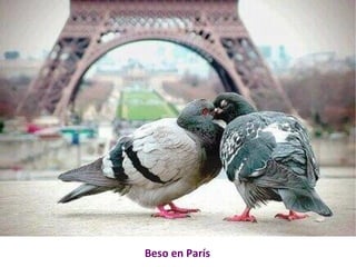 Beso en París 
 