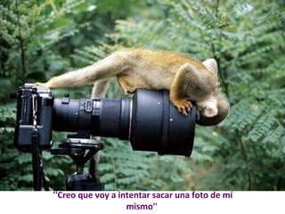 ''Creo que voy a intentar sacar una foto de mí 
mismo'' 
 