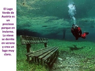 El Lago 
Verde de 
Austria es 
un 
precioso 
parque en 
invierno. 
La nieve 
se derrite 
en verano 
y crea un 
lago muy 
claro. 
 