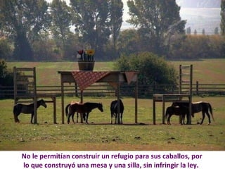 No le permitían construir un refugio para sus caballos, por 
lo que construyó una mesa y una silla, sin infringir la ley. 
 