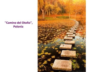 ''Camino del Otoño'', 
Polonia 
 
