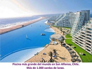 Piscina más grande del mundo en San Alfonso, Chile. 
Más de 1.000 yardas de largo. 
 
