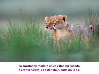 La amistad verdadera no es estar ahí cuando 
es conveniente; es estar ahí cuando no lo es. 
 