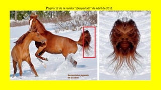 Página 17 de la revista "¡Despertad!" de Abril de 2011:
 