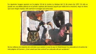 La siguiente imagen aparece en la página 18 de la revista La Atalaya del 15 de enero de 1997. En ella se
puede ver una Biblia abierta en el primer capítulo del Génesis (aquél que habla de la creación). Aquí no tiene
que usar ningún espejo, sólo apreciar la imagen tal como está:
De las millones de especies de animales que existen y vean lo que la Watchtower ha colocado en el centro de
esta página; el Carnero. ¿Cree usted que éste animal fue colocado allí por accidente?
 