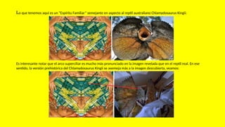 Lo que tenemos aquí es un “Espíritu Familiar” semejante en aspecto al reptil australiano Chlamydosaurus Kingii:
Es interesante notar que el arco superciliar es mucho más pronunciado en la imagen revelada que en el reptil real. En ese
sentido, la versión prehistórica del Chlamydosaurus Kingii se asemeja más a la imagen descubierta, veamos:
 
