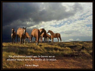 No olvidemos jamás que lo bueno no se  alcanza nunca sino por medio de lo mejor. Víctor Hugo 