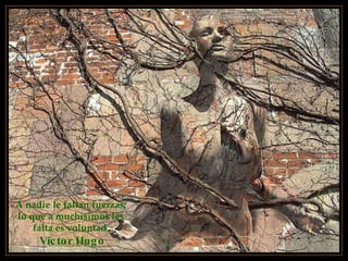 A nadie le faltan fuerzas;  lo que a muchísimos les  falta es voluntad.   Víctor Hugo 