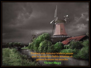 Produce una inmensa tristeza pensar  que la naturaleza habla mientras el  género humano no escucha. Víctor Hugo 