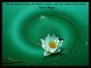 No hay malas hierbas ni hombres malos; sólo hay malos cultivadores.  Víctor Hugo 