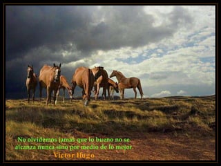 No olvidemos jamás que lo bueno no se  alcanza nunca sino por medio de lo mejor . Víctor Hugo 