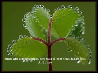 Buena cosa es tener amigos, pero mala el tener necesidad de ellos.   Anónimo 