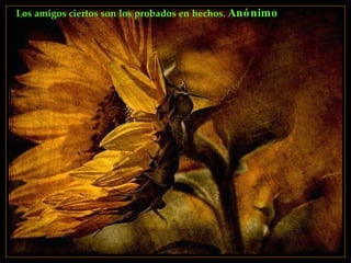 Los amigos ciertos son los probados en hechos.  Anónimo   