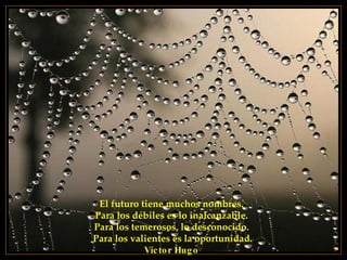 El futuro tiene muchos nombres.  Para los débiles es lo inalcanzable.  Para los temerosos, lo desconocido.  Para los valientes es la oportunidad. Víctor Hugo   