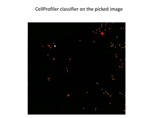 CellProfiler classifier on the picked image
 