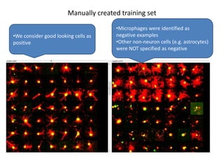 Manually created training set
•We consider good looking cells as
positive
•Microphages were identified as
negative examples
•Other non-neuron cells (e.g. astrocytes)
were NOT specified as negative
 
