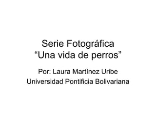 Serie Fotográfica
“Una vida de perros”
Por: Laura Martínez Uribe
Universidad Pontificia Bolivariana
 