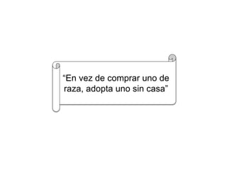 “En vez de comprar uno de
raza, adopta uno sin casa”
 