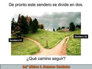 De pronto este sendero se divide en dos.
Sendero 01
Sendero 02
¿Qué camino seguir?
 