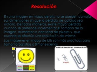 Imagen mapa de bits y software de tratamiento | PPTX