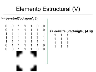 Imagen Morfologicas | PPT