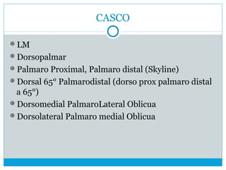 CASCO
LM
Dorsopalmar
Palmaro Proximal, Palmaro distal (Skyline)
Dorsal 65° Palmarodistal (dorso prox palmaro distal
a 65°)
Dorsomedial PalmaroLateral Oblicua
Dorsolateral Palmaro medial Oblicua
 