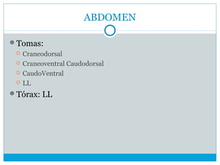 ABDOMEN
Tomas:
 Craneodorsal
 Craneoventral Caudodorsal
 CaudoVentral
 LL
Tórax: LL
 