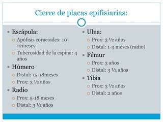 Cierre de placas epifisiarias:
 