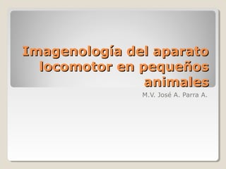 Imagenología del aparato
  locomotor en pequeños
                animales
               M.V. José A. Parra A.
 